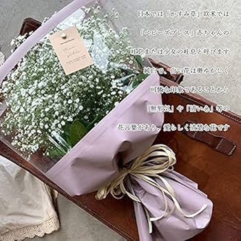 Amazon｜ラッピングリニューアル かすみ草 カスミソウ 花束